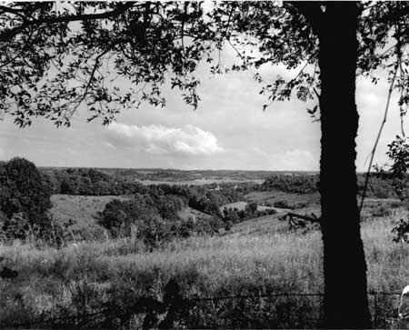 Looking east from the Old Natchez Trace